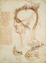 Leonardo da Vinci: Painter at the Court of Milan (National Gallery